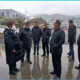 副市長(zhǎng)王繼松一行春節(jié)前蒞臨桐梓公司指導(dǎo)工作 